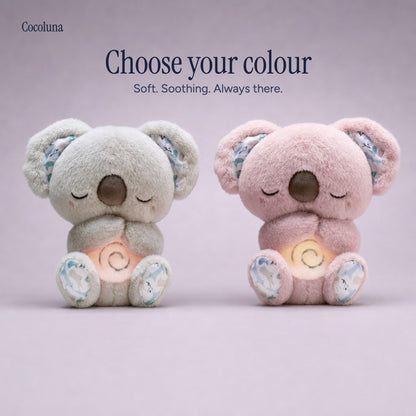 Calm Koala